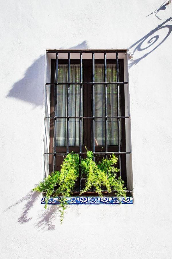 Casa Del Siglo XVII Villa Sevilla Dış mekan fotoğraf