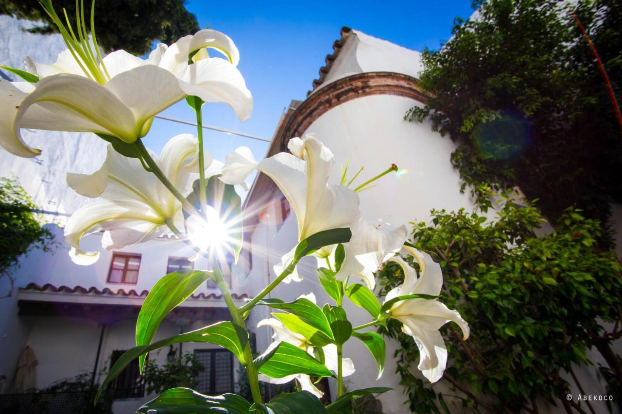Casa Del Siglo XVII Villa Sevilla Dış mekan fotoğraf